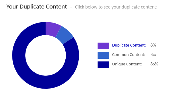 Siteliner duplicate content example