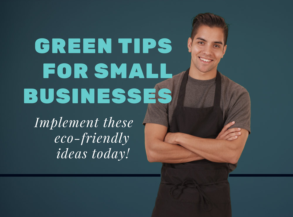 Green tips for small business owners cover image