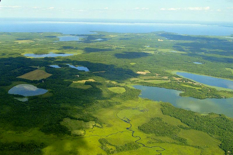 view of Minnesota lakes and forests from above